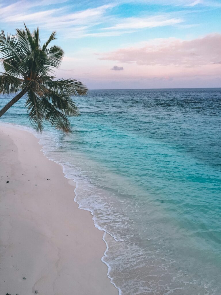 hisham-haroon-r1rbHACqTt0-unsplash